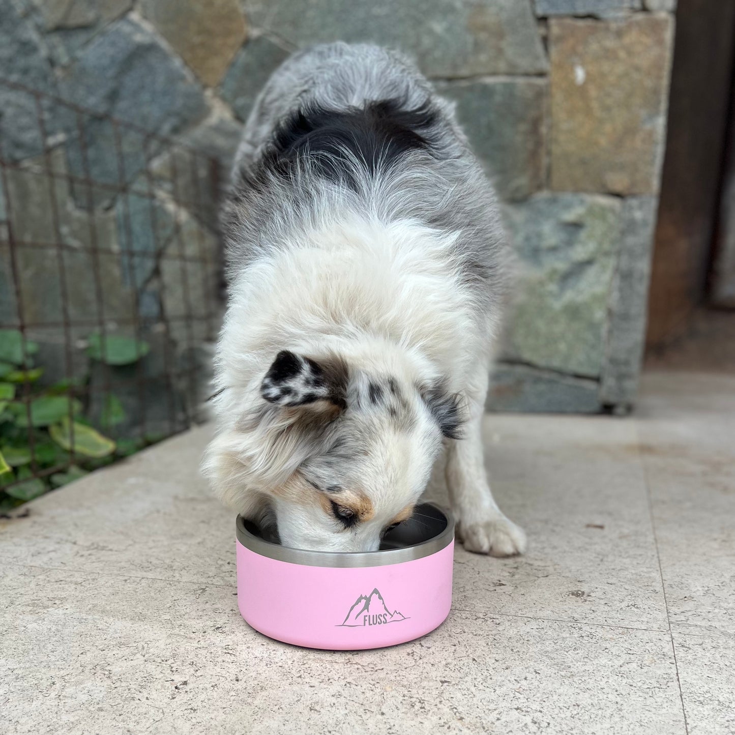 PET BOWL 64oz ROSADO 🐾