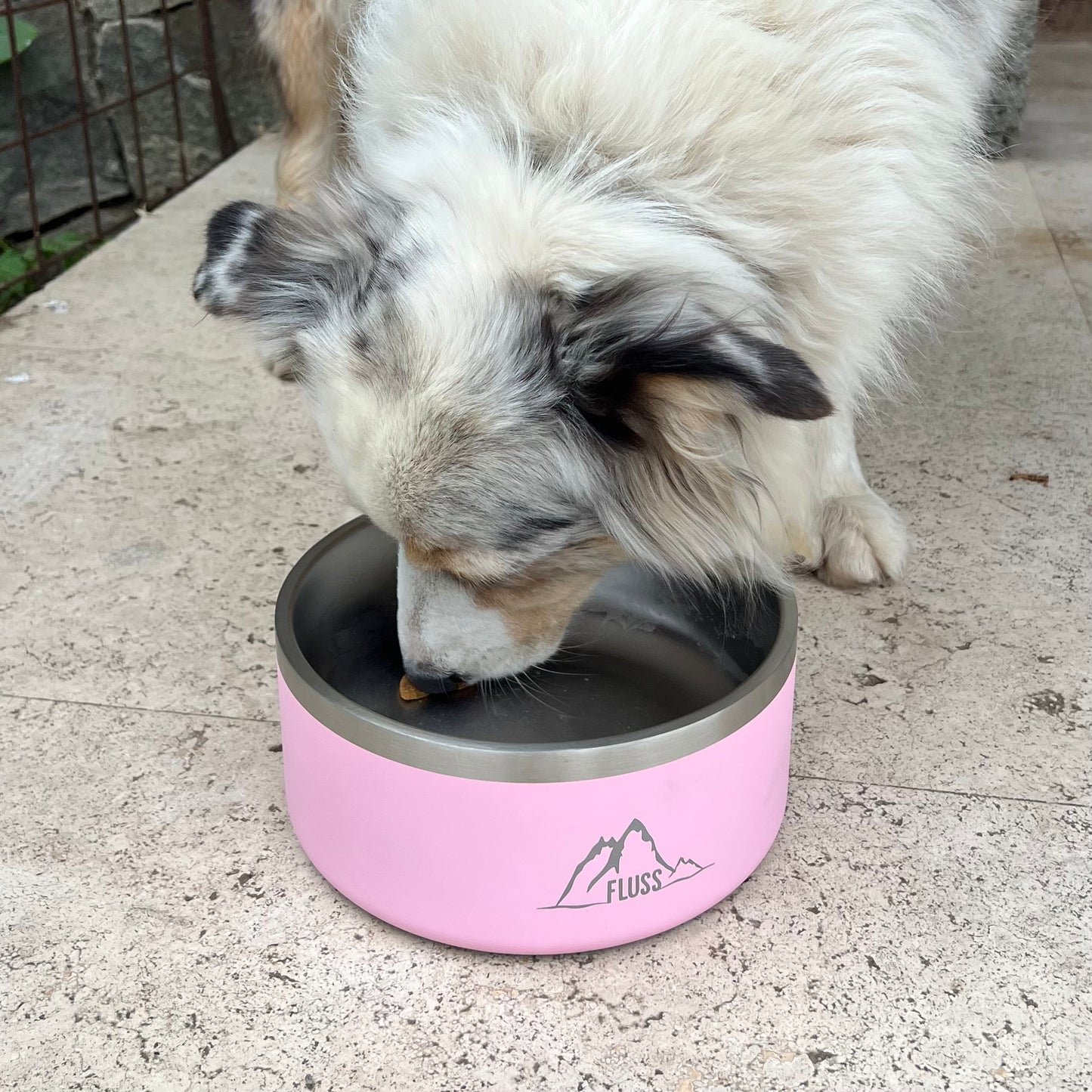 PET BOWL 64oz ROSADO 🐾