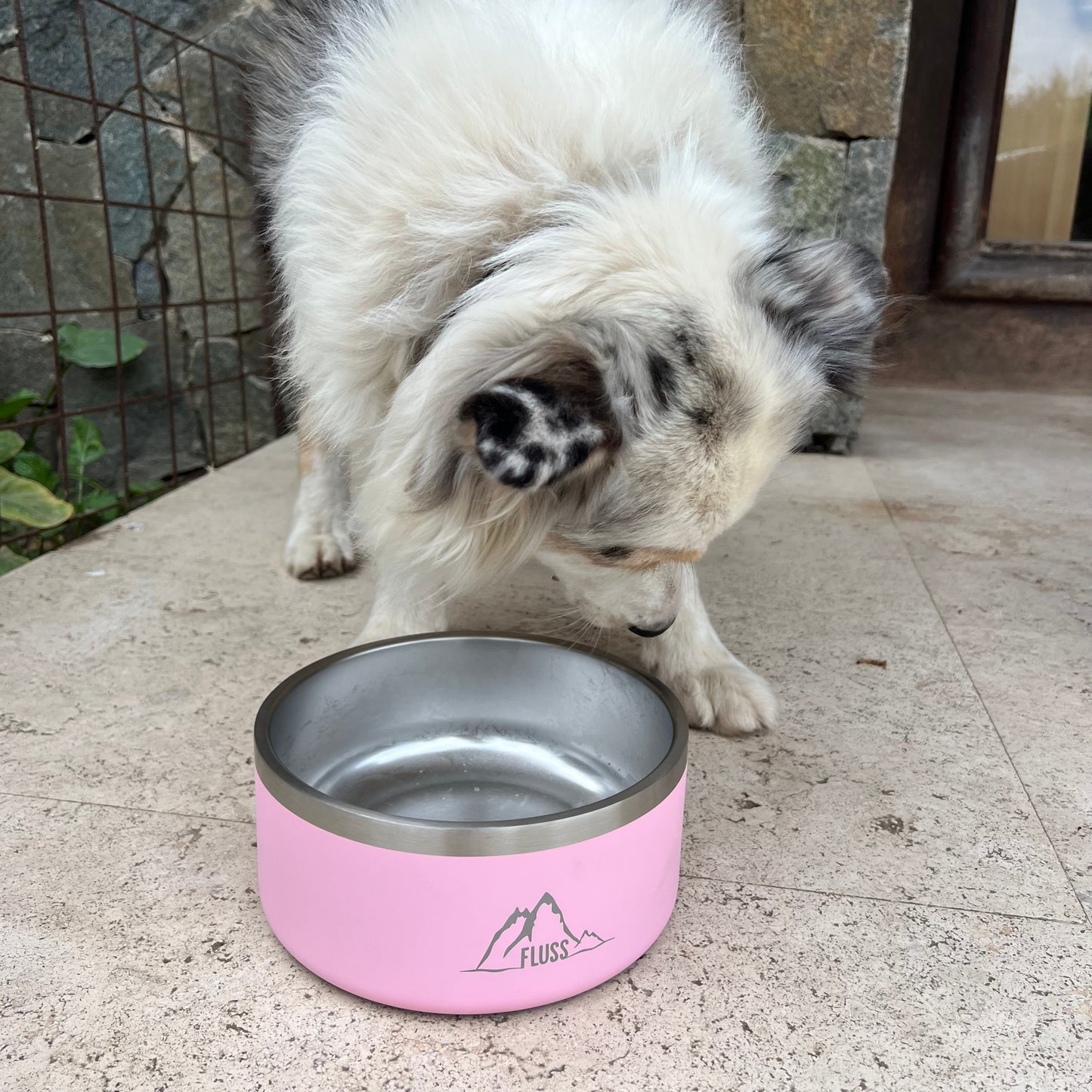 PET BOWL 64oz ROSADO 🐾