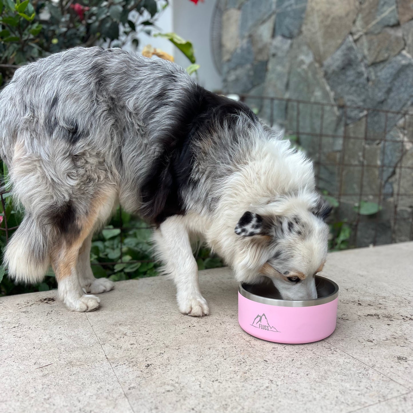 PET BOWL 64oz ROSADO 🐾