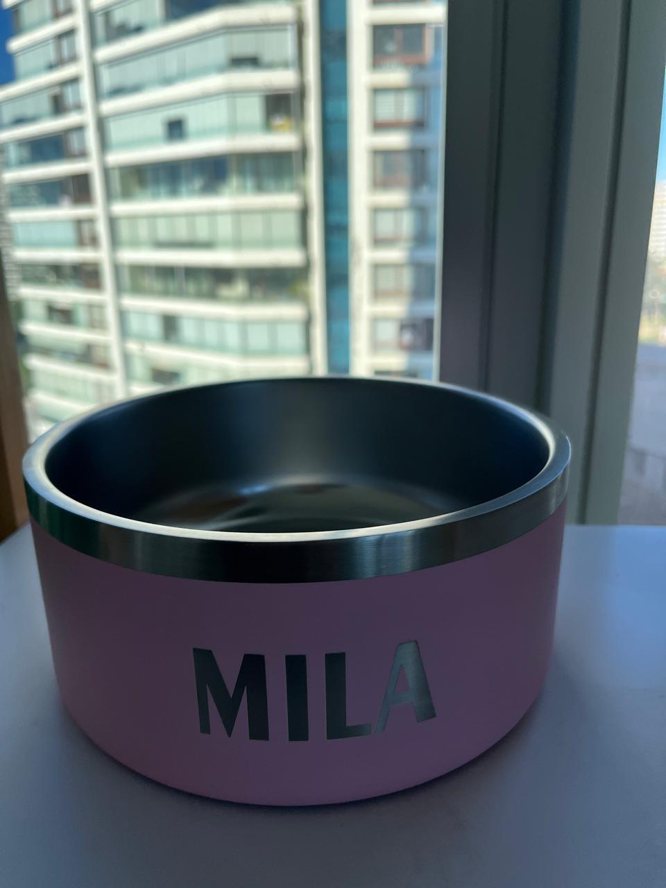 Personalizacion pet bowl