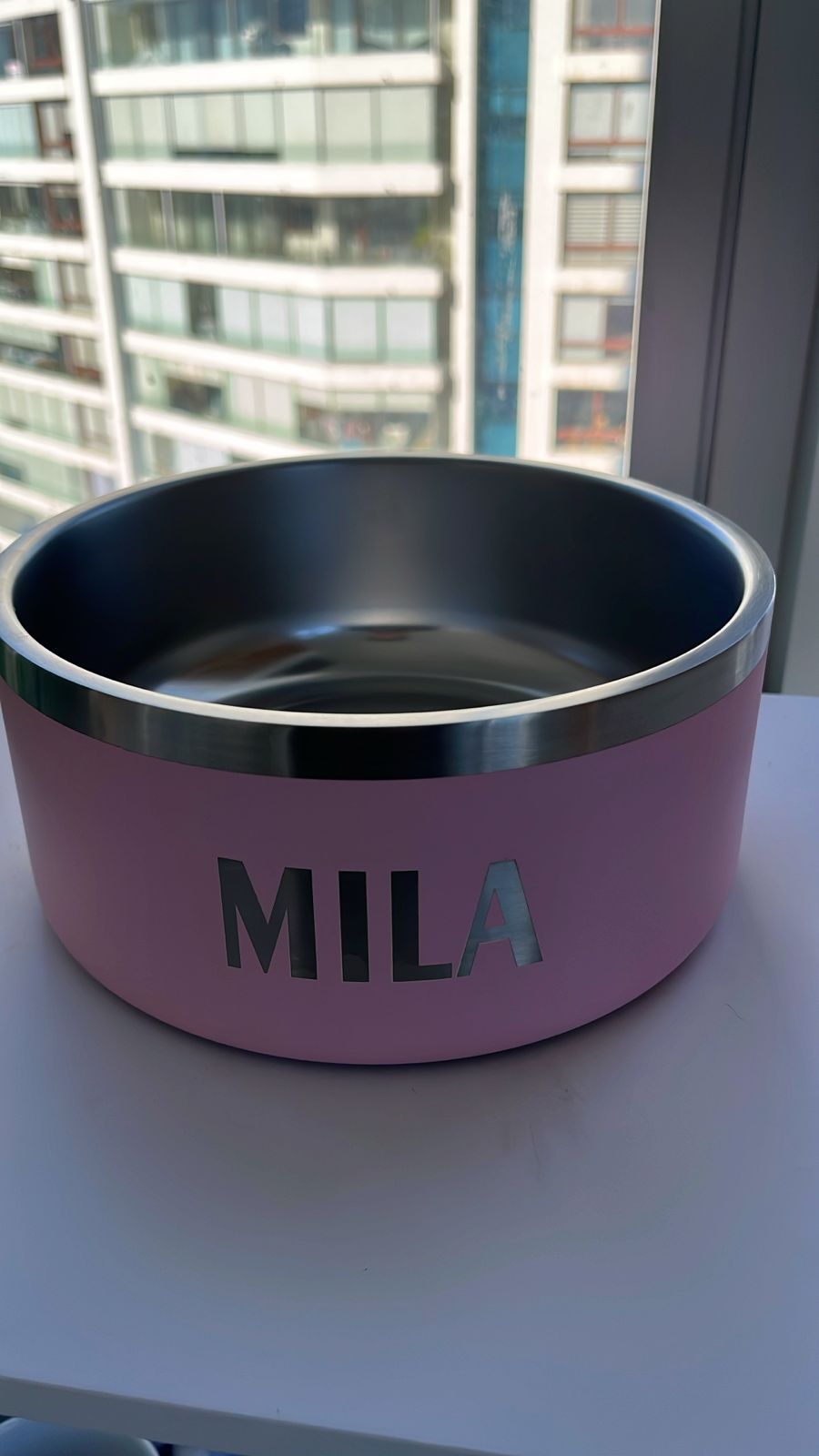 Personalizacion pet bowl