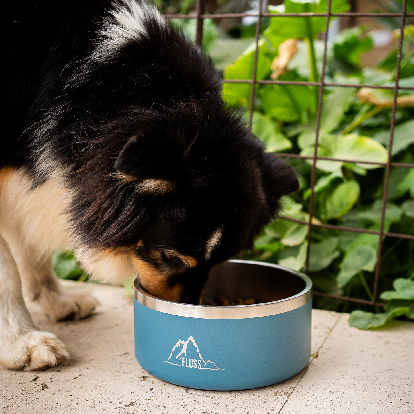 PET BOWL 64oz AZUL 🐾