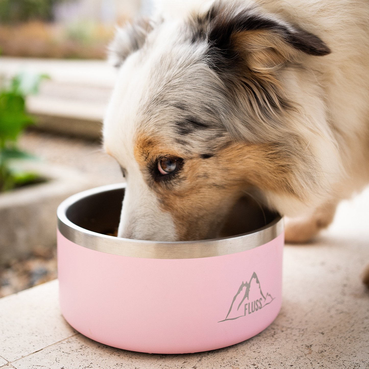 PET BOWL 64oz ROSADO 🐾