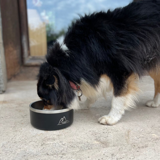 PET BOWL 64oz NEGRO 🐾