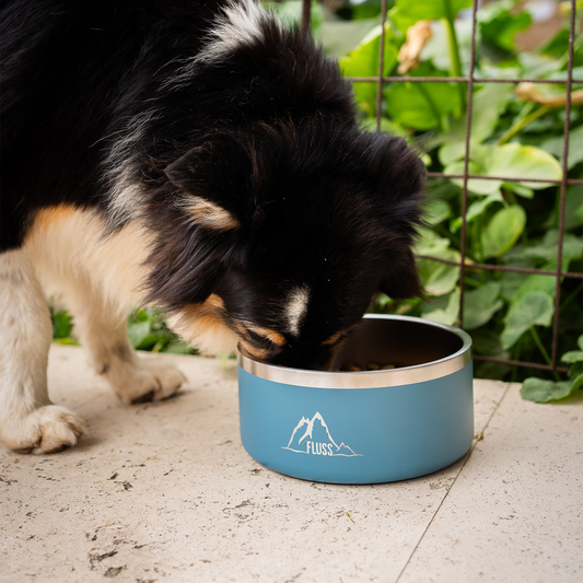 PET BOWL 64oz AZUL 🐾