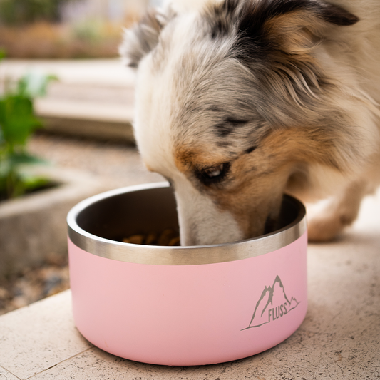 PET BOWL 64oz ROSADO 🐾