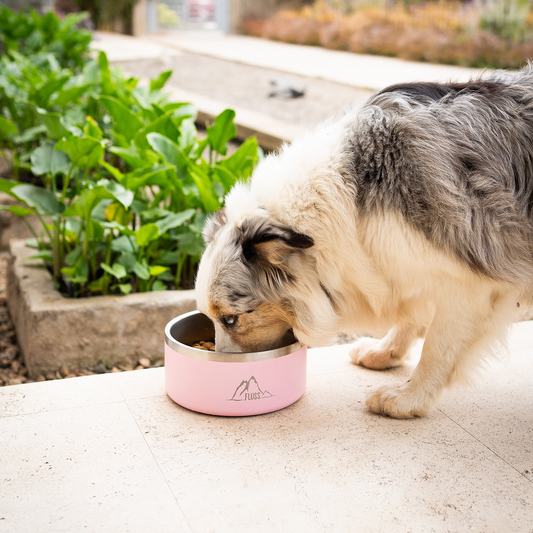 PET BOWL 64oz ROSADO 🐾